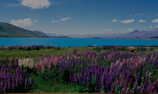 ニュージーランド